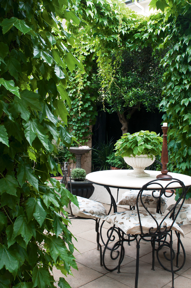 tiny blenheim plot transformed into lush secret garden stuff co nz tiny blenheim plot transformed into lush secret garden stuff co nz