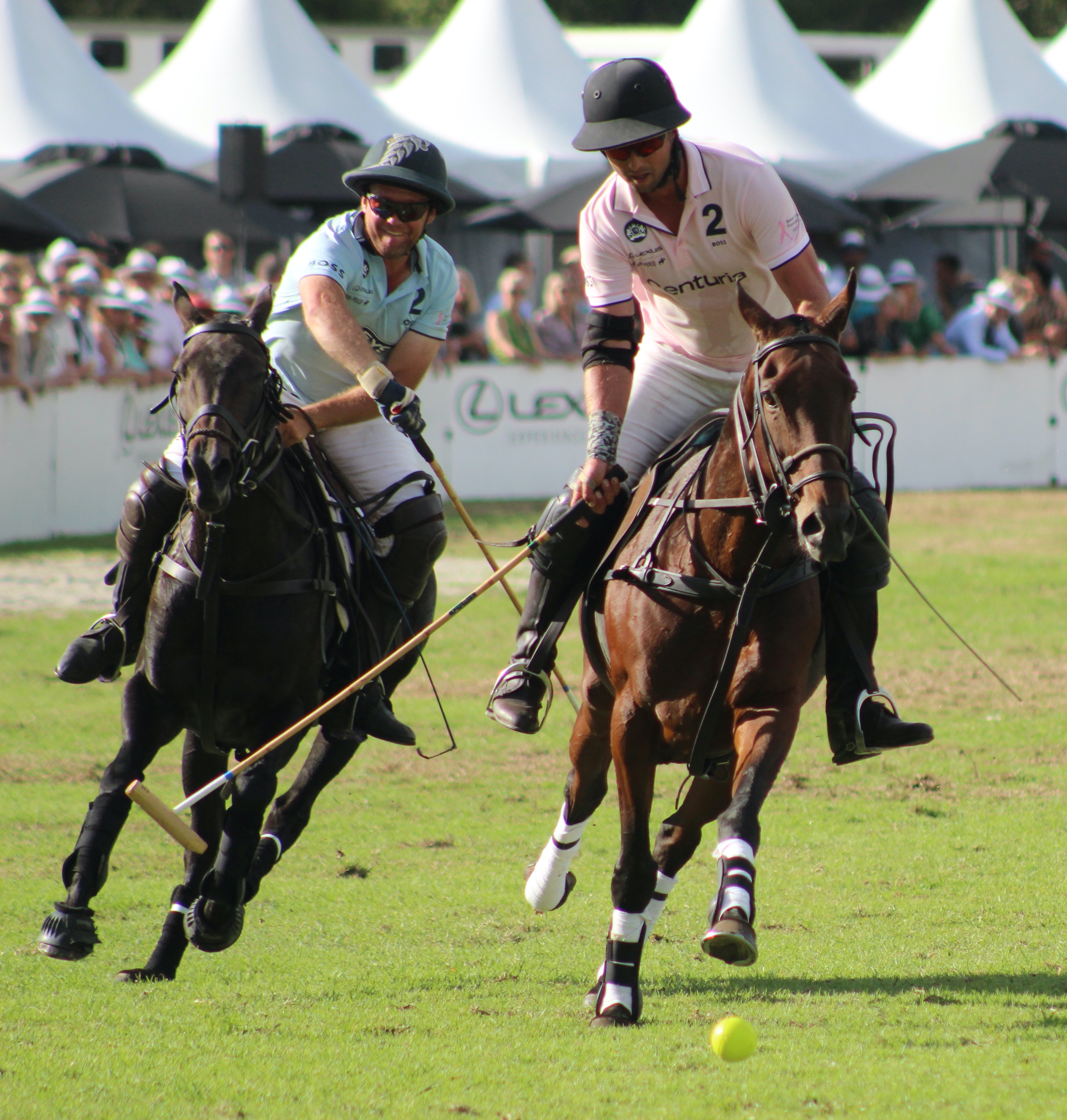 Two polo players on horseback contesting a ball 