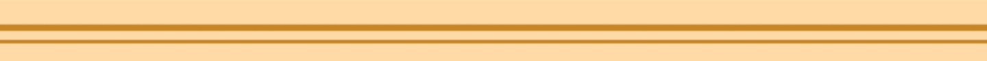 simple brown line to divide
