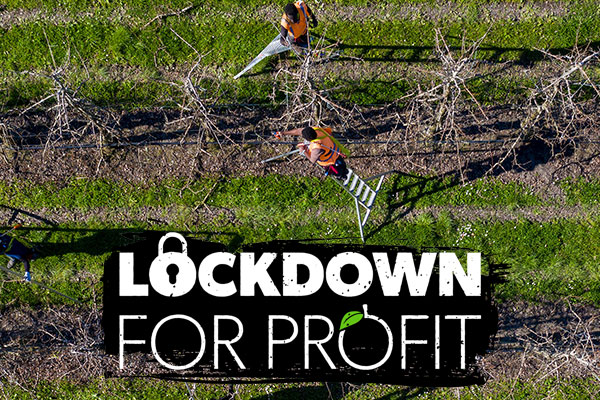 Lockdown for Profit