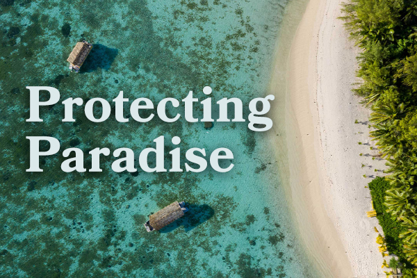 Protecting Paradise