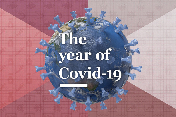 The year of Covid-19