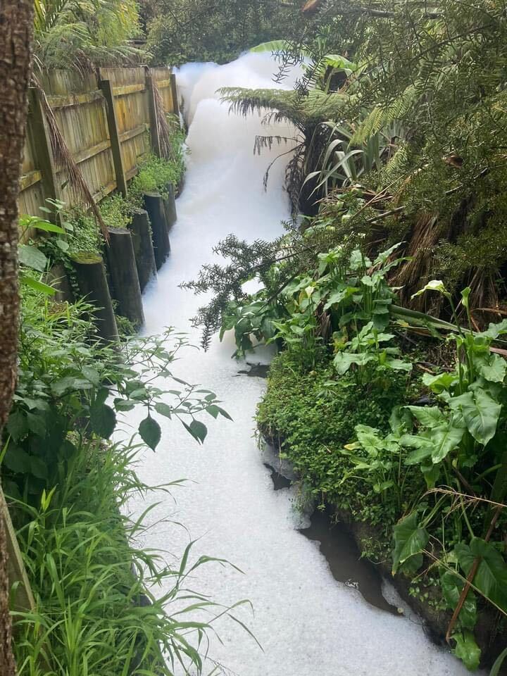 Threemetre high bubbles swallow a creek on Auckland's North Shore