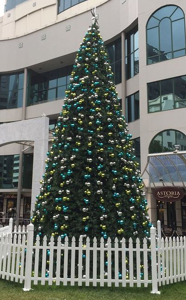 a christmas tree similar to what the waimate district council are proposing to buy - When To Buy A Christmas Tree a christmas tree similar to what the waimate district council are proposing to buy - When To Buy A Christmas Tree