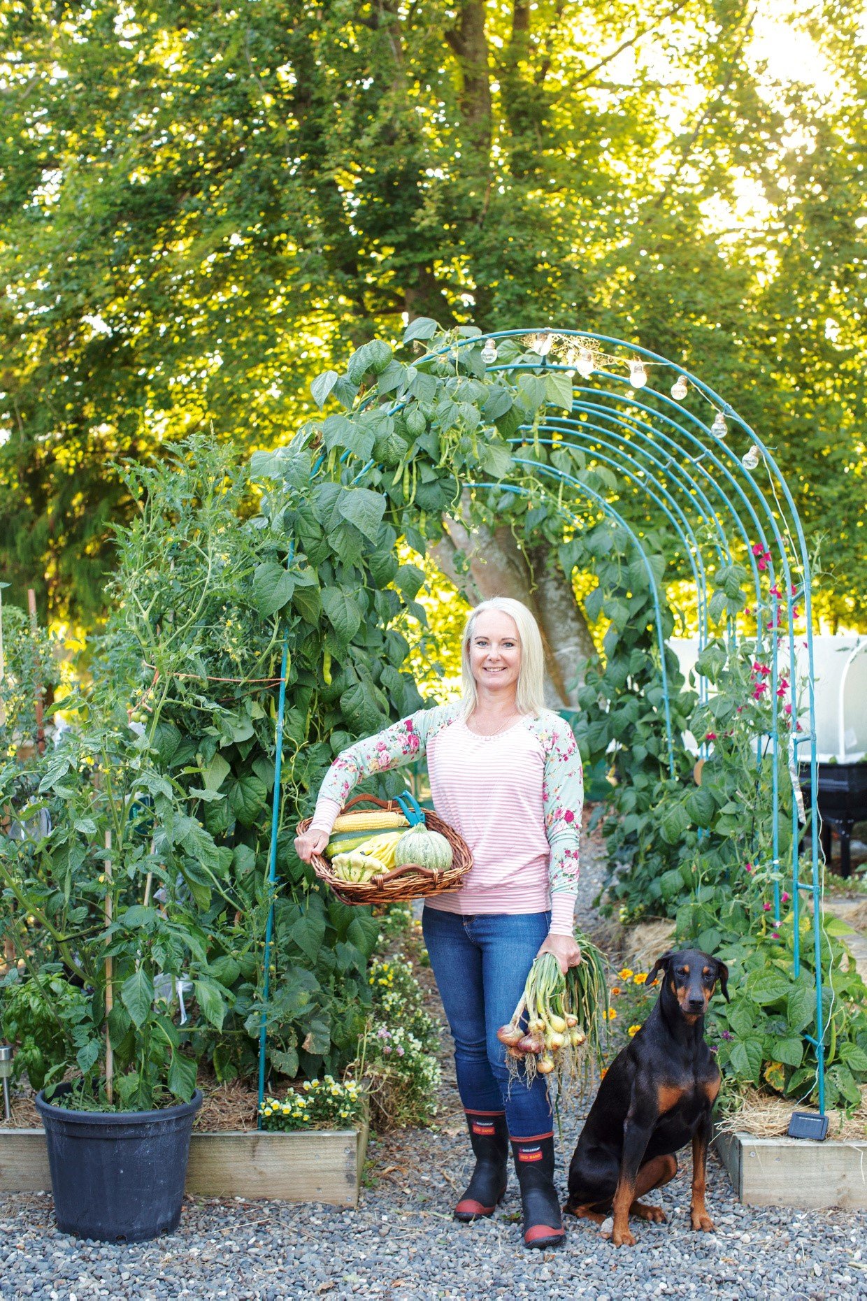 Self Sufficient Gardens How To Build A Self Sustaining Homestead On